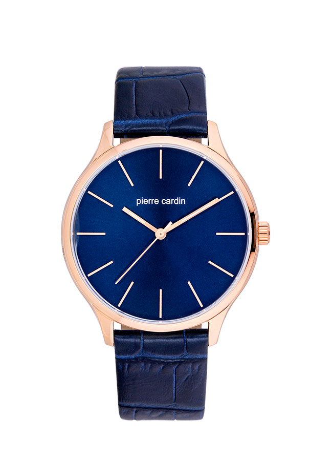Часы Pierre Cardin Gents PC902151F04